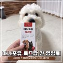 강아지 간수치 응급상황 이후 선택한 아나포유 옥스탑 강아지 간 영양제 솔직 급여 후기