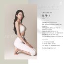 써밋복싱 이미지