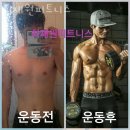 최재원피트니스 이미지