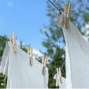 세탁전문점 이미지