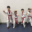 경희대 에이스 태권도 이미지