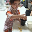 수빈이콩나물 Daum카페