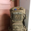 미스테리랜치 보즈만산(USA)블랙잭 코요테 S/S팝니다. 이미지