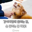 꿈# 이미지