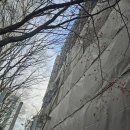 수내중학교 앞 이미지