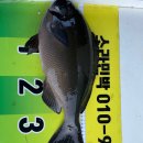 뉴환상민박 이미지