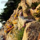 효문운동장 이미지