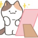 에이비씨헤어 - 세종특별자치시 다정중앙로 45 | 에이비씨헤어