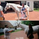 일선목장 이미지