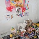 멍더랜드 이미지