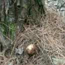 정봉농장 이미지