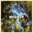 멍레스트 이미지