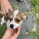 새재로그하우스 이미지