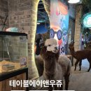 인천동물원 추천 송도 실내 데이트 테이블에이앤우쥬 후기