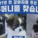 영대병원네거리 이미지