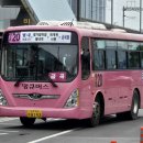 남양주금곡초등학교 이미지