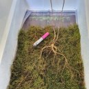 계촌농장 이미지