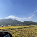 [캠핑장 후기]충남 예산 &#34;수덕캠핑장&#34; 후기 - 내돈내산/듀랑고 쉘터 우레탄창