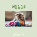 금산헤르쯔 동물병원 | 📌고양이 이물질 섭취,비닐섭취 조심해야합니다. / 고양이 장폐색 / 금산 헤르쯔 동물병원