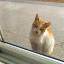 김효정공인중개사사무소 이미지