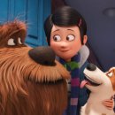 (주)펫바라기 이미지