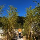 [경주숙소]경주옥/경주숙소/스테이폴리오/신상숙소/감성숙소