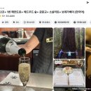 ID농장 | 샌프란시스코 소살리토 와이너리 근교 당일치기 투어 내돈내산 후기!✨ (+렌트카 추천할까?)