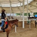 영광승마장 이미지