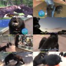 승자농장 이미지