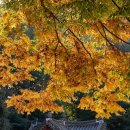 국토종주자전거길1-130 이미지