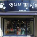 언니네 펫 이미지