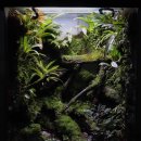 비바리움