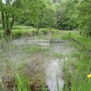 곡성 월봉 이미지