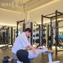 피티온 이미지