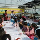 원종어린이집 이미지