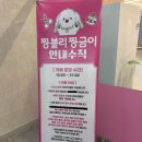 짱블리 짱금이 네이버블로그