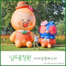 6월 가평여행 자라섬꽃페스타 남도꽃정원 후기