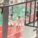 필업 이미지