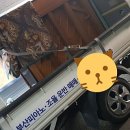 강진상회 이미지