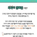 냥냥펀치 이미지