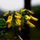 재미있게 이미지