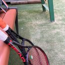 용인시립골드 테니스장 이미지