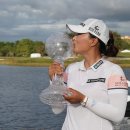 1·2·3·4[골프]PC 이미지