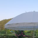 말라이카 이미지