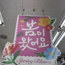다이소 봄 신상 봄봄 시리즈 구매 후기