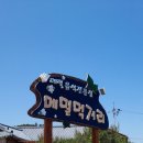 원주천서리막국수 이미지