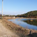 농업회사법인(주)한국원종 이미지