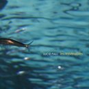 커브스상남클럽 이미지