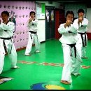 금강 태권도장 이미지