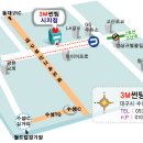 이리썬팅